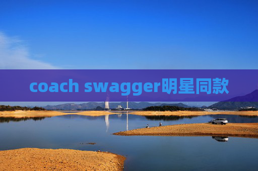 coach swagger明星同款